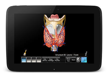 Larynx ID Screenshots 1