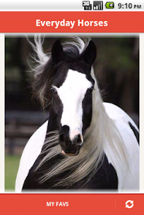 Download Poney & Horse APK