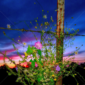 Southern Charm by Jeannie Love - Instagram & Mobile Other