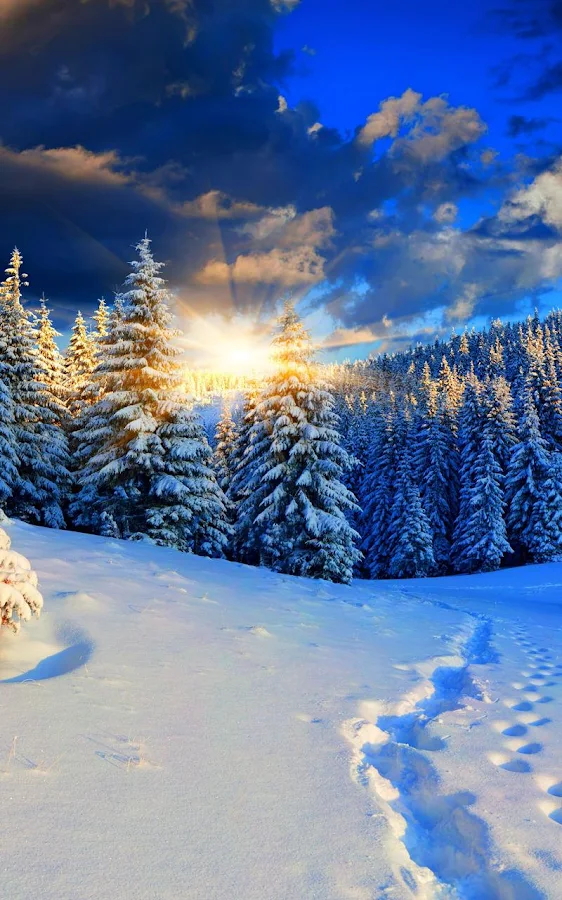 cld8__GyYWph7sDns9yftkqxf7EZ8HchAWqN-fipADPJlgdUAff5MJii3IiS1WqmPs4=h900-rw