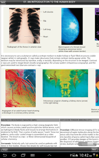 Anatomy and Physiology