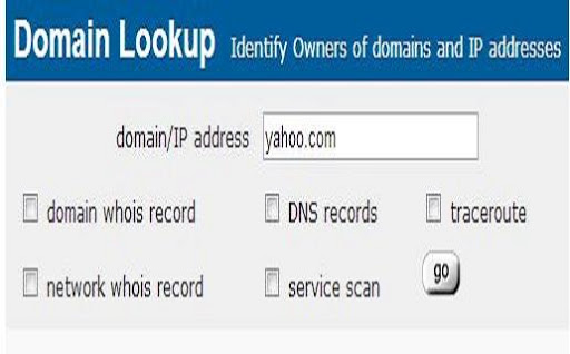 Domain Name Lookup