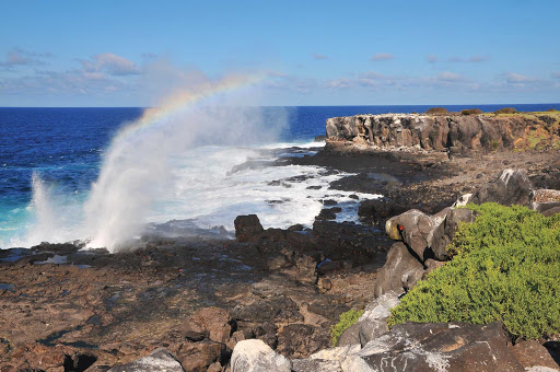 Espanola_Island_Galapagos - Breathtaking sights await on your journey to Española Island in the Galapagos.