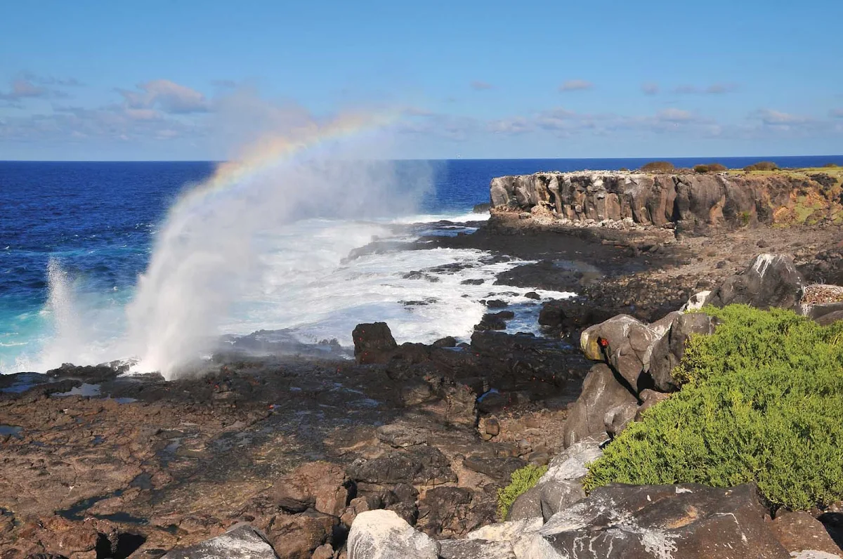 Espanola_Island_Galapagos - Breathtaking sights await on your journey to Española Island in the Galapagos.