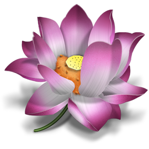 Flower Live Wallpaper.apk 1.0