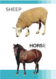 How to mod Domestic Animals Pre School patch 1.0 apk for pc