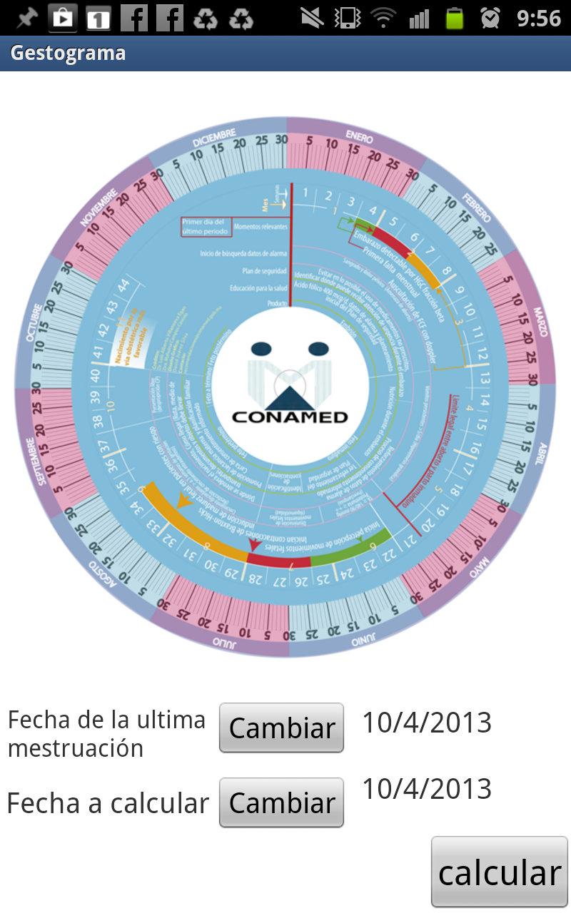 Gestograma CONAMED 1.0 Screen 3