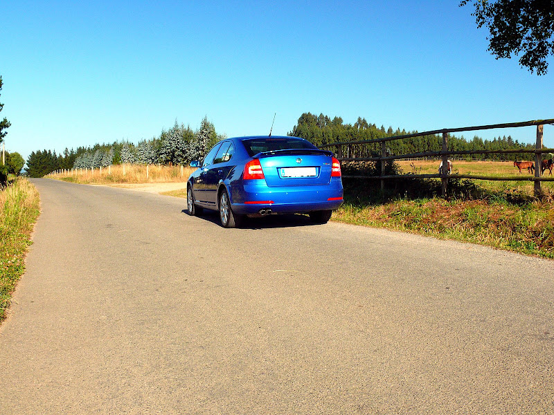 octaviaRS_05.jpg