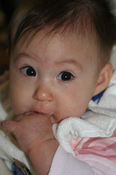 [Misc Gracie pics 153[2].jpg]