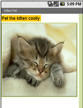 Kitten Pet