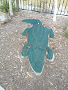 Discovery Crocodile
