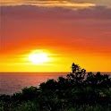 Amazing Sunset Wallpaper logo
