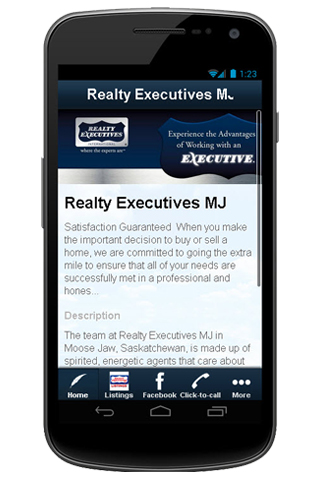 Realty Executives MJ