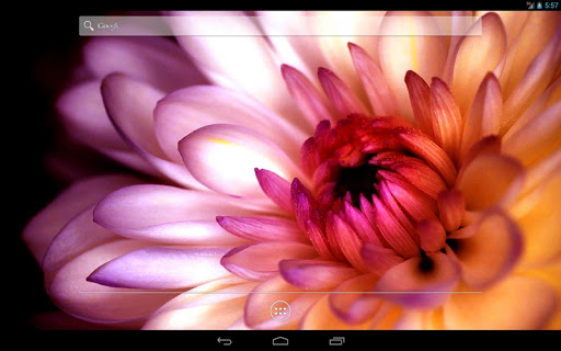 免費下載個人化APP|Bright flower Live Wallpaper app開箱文|APP開箱王