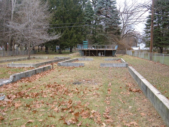 [backyard[2].jpg]