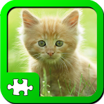 Puzzles: Kittens Apk