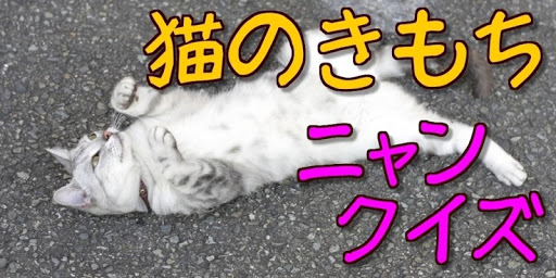 【免費娛樂App】猫の気持ちニャンクイズ　愛猫の「しつけ」「健康 」「豆知識」-APP點子