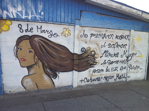 Mural Mujer Pedro De Valdivia