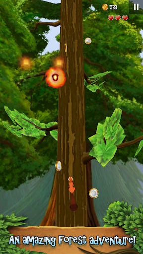 Nuts : Infinite Forest Run