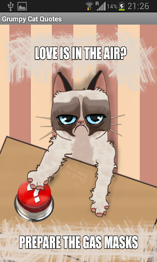 Grumpy Cat Quotes