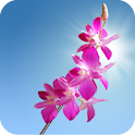 Orchids Live Wallpaper logo