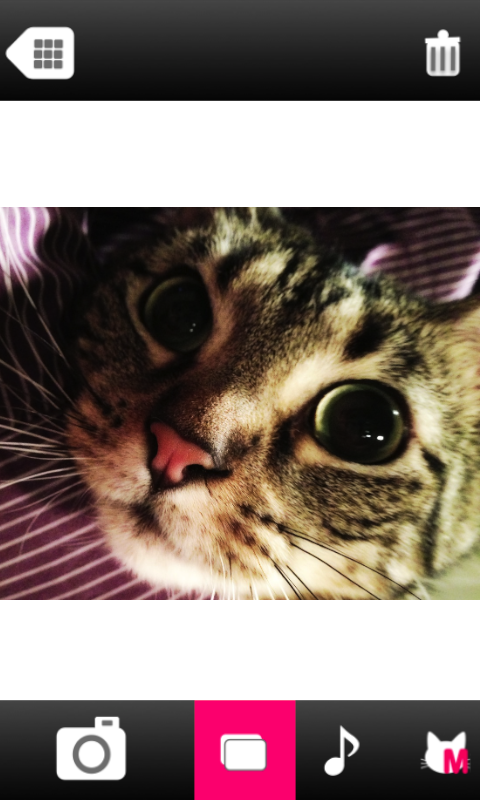 CatPix Screen 2