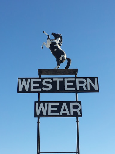Western Wear Horse