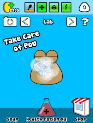 Pou