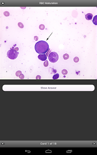 BYU Hematology Screenshots 2