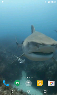 download Sharks Live Wallpaper free