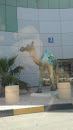 Camel 1 at Seef Mall
