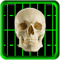 Dead Detector logo