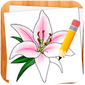 How to Draw Flowers
