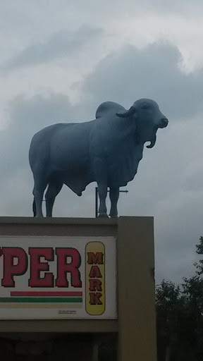 Blue Bull on a Roof