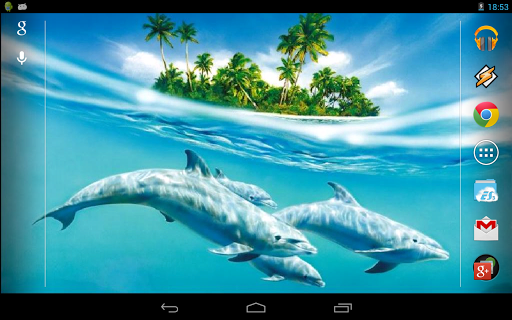 【免費個人化App】Magic Touch: Dolphins-APP點子