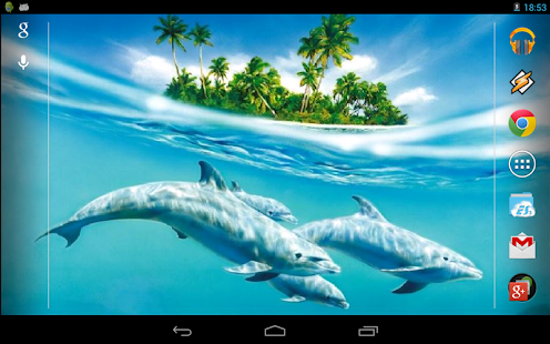 Magic Touch: Dolphins