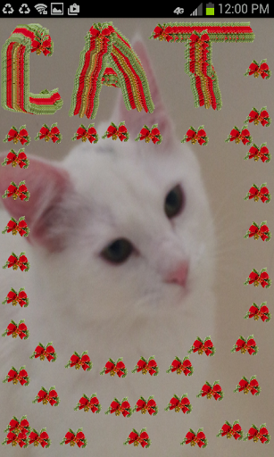 【免費生活App】Snap, Decorate Christmas Photo-APP點子