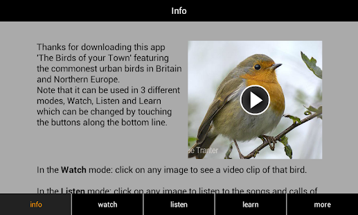 Birds of your Town Screenshots 5
