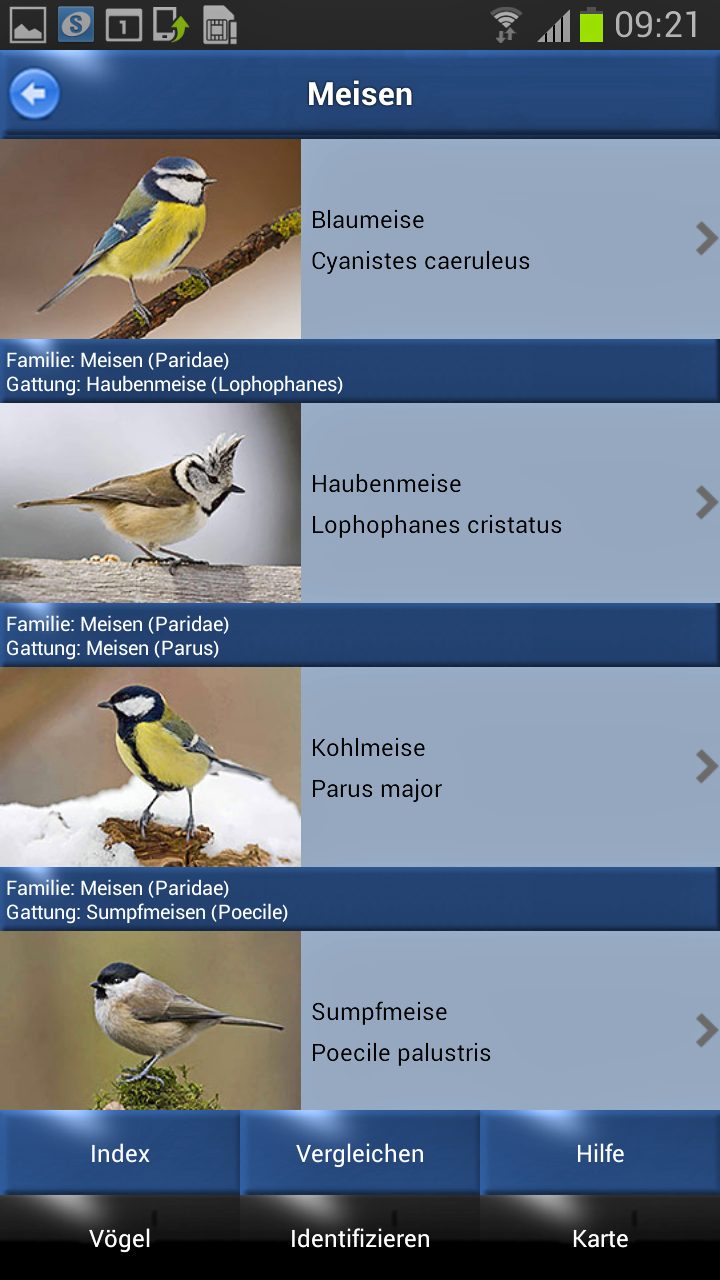 Vogel Id - Vögel im Garten Screen 2