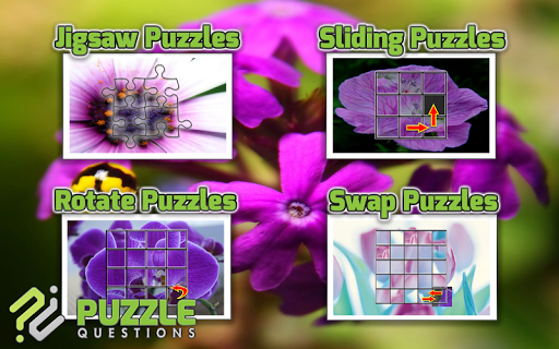 免費下載解謎APP|Free Purple Flower Puzzle Game app開箱文|APP開箱王