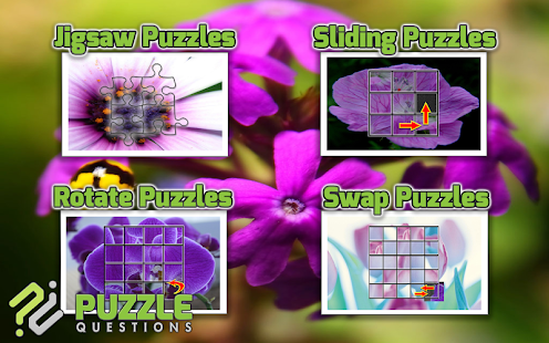 Free Purple Flower Puzzle Game Screenshots 10
