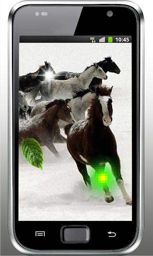 Horses Music live wallpaper