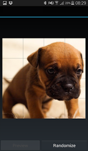 Download Post My Cute Pets APK for PC