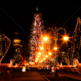 Christmas in my city by Valics Lehel - Public Holidays Christmas