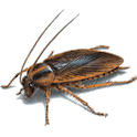 Kill Bills logo