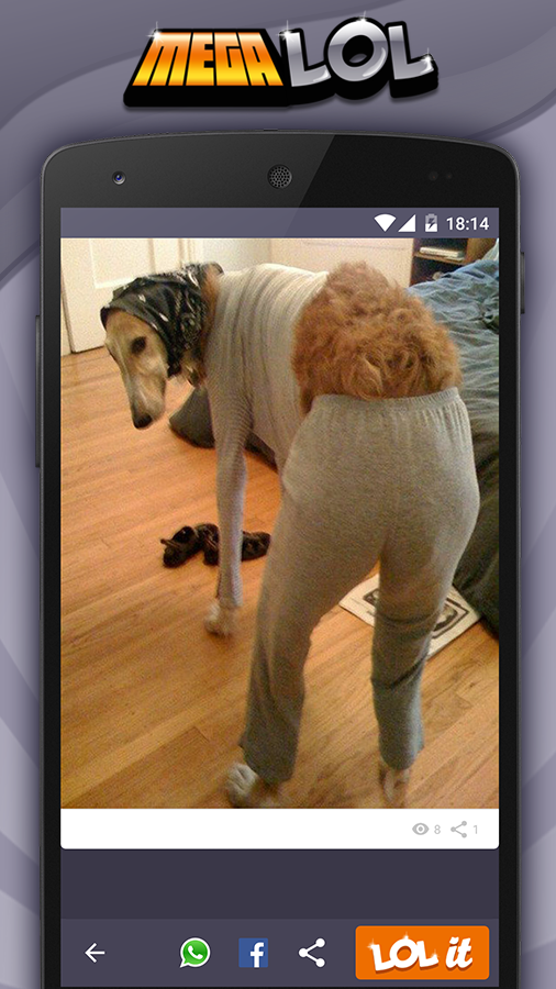 Funny Pictures & Videos 😂 - Android Apps on Google Play