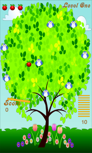 Owls Apples Bouncing Saga