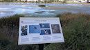 Walden Ponds Bird Information Plaque