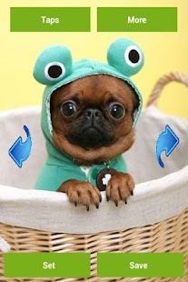 How to install Pugs Wallpapers patch 1.8.0 apk for laptop