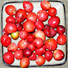 Natal plums (Carissa)